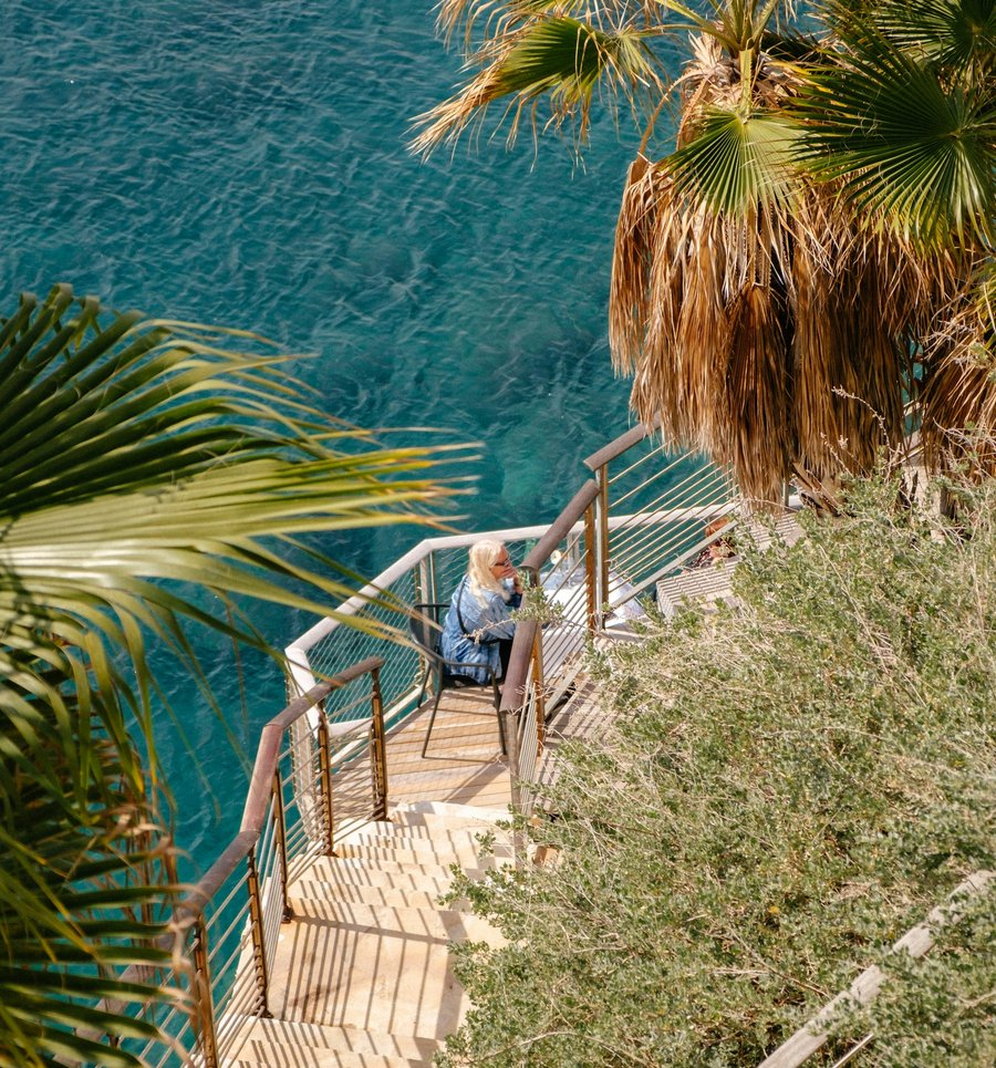 Steps through palm trees down to a turquoise sea